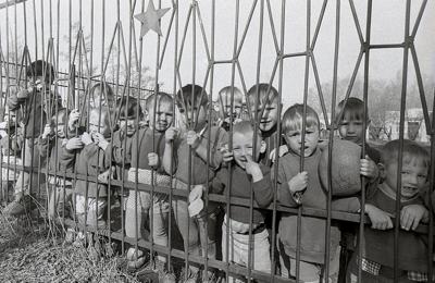 Дети за забором